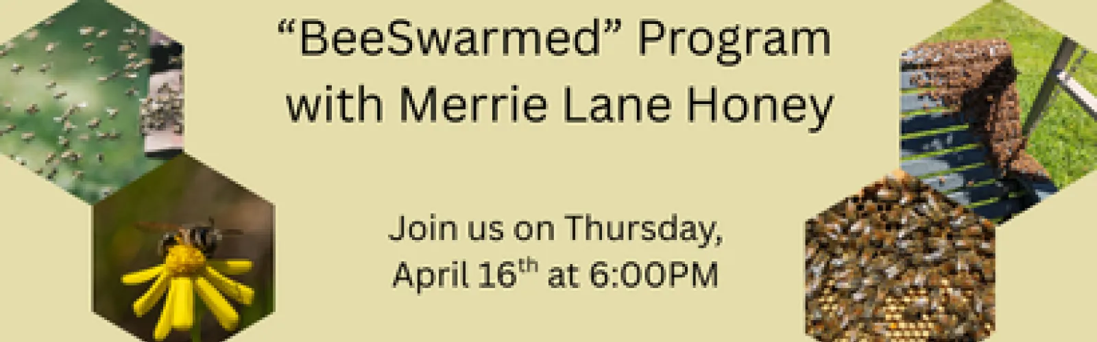 bees, pollen, flowers, hives