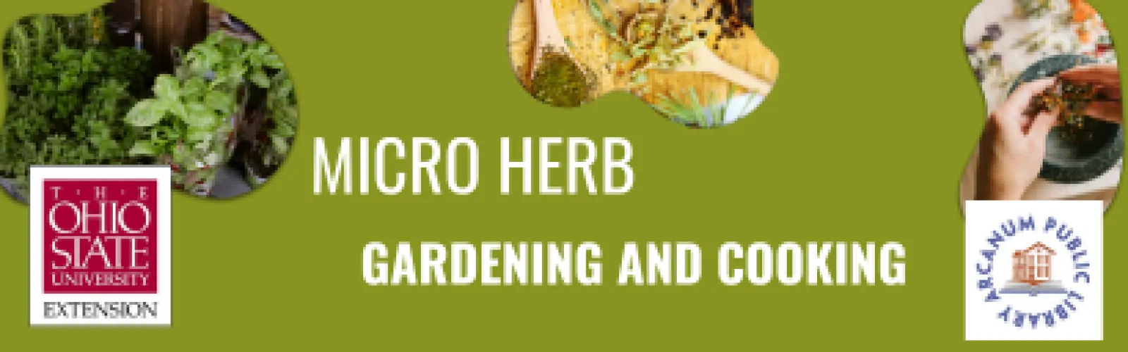Herbs growing, cooking recipe