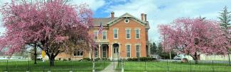 Building front in spring